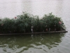 asien-2013-03-26-17-15-02
