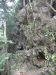 asien-2013-03-27-14-07-43