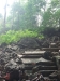 asien-2013-03-27-14-12-37