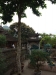 asien-2013-03-27-15-23-11