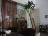 asien-2013-03-20-11-26-26