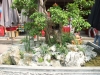 asien-2013-03-20-13-26-07