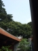 asien-2013-03-20-13-29-57