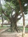 asien-2013-03-20-13-50-18