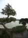 asien-2013-03-20-15-08-29