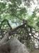 asien-2013-03-20-15-16-10