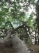 asien-2013-03-20-15-16-18