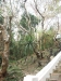 asien-2013-03-16-17-10-49