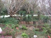 asien-2013-03-16-17-15-55
