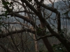 asien-2013-03-16-17-22-23
