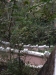 asien-2013-03-16-17-22-45