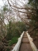 asien-2013-03-16-17-23-53