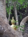asien-2013-03-16-17-38-16