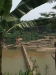 asien-2013-03-17-12-28-28