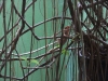 asien-2013-03-17-14-51-06