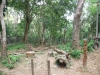 asien-2013-03-16-12-32-39