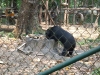 asien-2013-03-16-12-34-34
