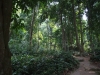 asien-2013-03-16-12-38-34