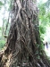 asien-2013-03-16-12-46-17