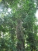 asien-2013-03-16-12-49-14