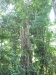 asien-2013-03-16-12-49-21