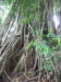 asien-2013-03-16-12-50-01