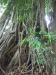 asien-2013-03-16-12-50-09