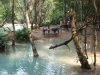 asien-2013-03-16-12-50-55