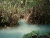 asien-2013-03-16-12-53-37
