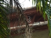 asien-2013-03-14-13-21-42