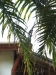 asien-2013-03-14-13-23-57