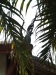 asien-2013-03-14-13-24-10