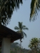 asien-2013-03-14-13-33-54