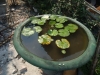 asien-2013-03-14-14-13-40