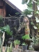 asien-2013-03-14-14-26-35