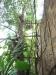 asien-2013-03-14-14-27-52