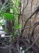 asien-2013-03-14-14-27-58