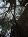 asien-2013-03-14-14-28-14