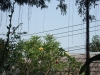 asien-2013-03-14-14-32-05