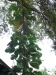 asien-2013-03-14-14-32-38