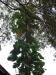 asien-2013-03-14-14-32-54