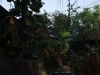 asien-2013-03-14-15-08-09