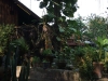 asien-2013-03-14-15-08-21