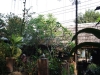 asien-2013-03-14-15-08-36
