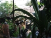asien-2013-03-14-15-08-47