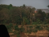 asien-2013-03-14-16-57-58