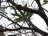 asien-2013-03-15-07-27-35