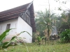 asien-2013-03-15-07-36-12