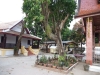 asien-2013-03-15-17-26-21