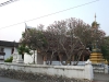 asien-2013-03-15-17-29-28